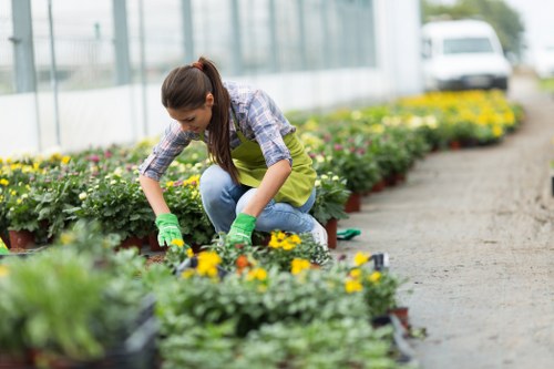 Cookie policy introduction for Landscapers East Ham website