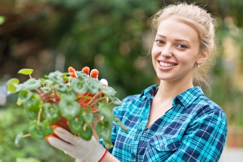Professional tree lopping service in East Ham