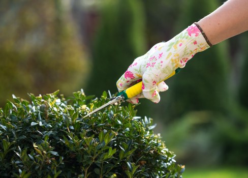 A close-up of a person's hand wearing a gardening glove, trimming a dense, dark green hedge with a pair of small gardening scissors. The hedge appears well-maintained, with thick, healthy foliage. The background shows a blurred garden scene with trees and other plants, indicating an outdoor space in a residential garden in East Ham. The scene is lit by natural daylight, suggesting fair weather, and highlights the care and attention involved in garden maintenance. This type of detailed hedge trimming is a common service offered by professional gardening and landscaping companies such as Landscapers East Ham, who specialise in garden renovation and outdoor beautification suited to local climates and garden styles. The garden features include the neatly shaped hedge, vibrant plant leaves, and a section of lawn or planting bed visible in the foreground, all contributing to a tidy and well-kept outdoor environment suitable for various gardening projects and landscape enhancements.