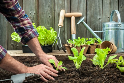 A person in a plaid shirt is planting young leafy green vegetables into dark, rich soil in a garden bed, which is bordered by a weathered wooden fence. The garden area features freshly tilled soil with small, bright green plants just beginning to grow, suggesting early-stage planting. To the right, there is a metal watering can and gardening tools, including a hand trowel and pruning shears, leaning against the fence, indicating active garden maintenance. In the background, the fence encloses a well-maintained outdoor space, typical of East Ham domestic gardens, with no visible flower beds or additional landscaping features. The lighting suggests a partly sunny day with natural light illuminating the garden's natural tones of brown soil and vibrant green plants, consistent with typical outdoor gardening activities supported by local garden maintenance services such as those offered by Landscapers East Ham.