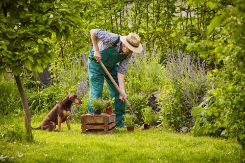 Explanation of cookie types used by East Ham landscaper site
