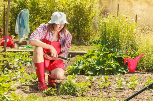 A woman wearing a light blue sun hat, red apron, red rain boots, and a checked shirt is kneeling on a well-maintained vegetable garden bed, using a small hand trowel to tend to the young plants. The garden features neatly arranged rows of lush green seedlings and mature leafy plants, with some flowering plants visible in the background. The soil appears rich and freshly cultivated, bordered by wooden or brick edging. To the side, garden tools such as a pink watering can rest on the ground, and a green hedge or trees provide a natural backdrop, with sunlight filtering through the foliage, indicating a bright, clear day. This outdoor space is part of a residential garden area in East Ham, demonstrating a well-organized and productive gardening environment supported by local landscaping and gardening services such as Landscapers East Ham.