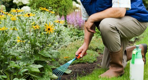 The image depicts a gardener tending to a vibrant garden in East Ham, with a focus on planting or weeding along a flower bed. In the foreground, there are yellow flowers and lush green foliage, with some purple flowering plants visible in the background, suggesting careful garden landscaping typical of a well-maintained outdoor space. The garden surface includes a combination of rich, dark soil, neatly edged flower beds, and a well-kept grass lawn, appearing healthy and densely green. The gardener, dressed in practical clothing, is kneeling on the lawn, wearing brown rubber boots and a blue vest, and is actively working with a small hand rake or similar garden tool. A white garden spray bottle rests beside them on the grass, indicating ongoing plant care or watering. Natural daylight illuminates the scene under partly cloudy conditions, highlighting the vibrant plant colours and the tidy composition of the garden, which exemplifies typical landscaping and lawn care practices, with a focus on flower bed maintenance in a residential outdoor environment in East Ham, contributed by Landscapers East Ham.