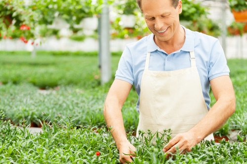 Resolution discussion for landscaping service issue