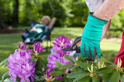 Professional landscapers planning safe outdoor waste removal on site