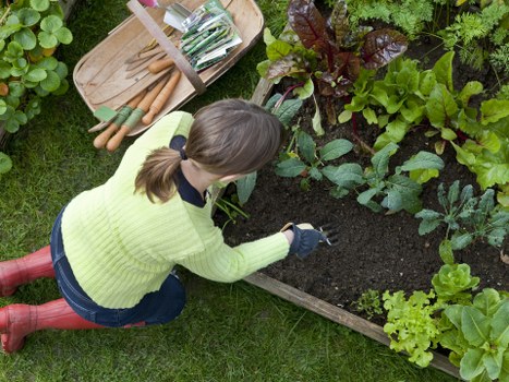 Sustainable rubbish and recycling process for East Ham landscapers