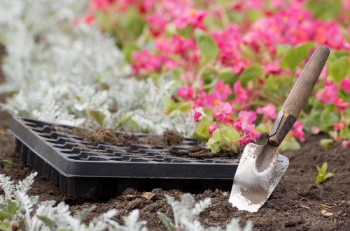 Professional landscaper planning a garden layout in East Ham