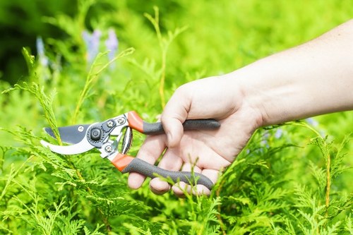Final review of a landscaping complaint procedure