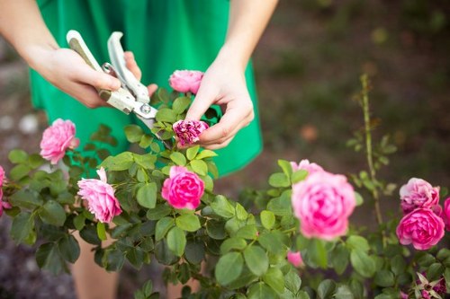 Tools and equipment used for garden clearance