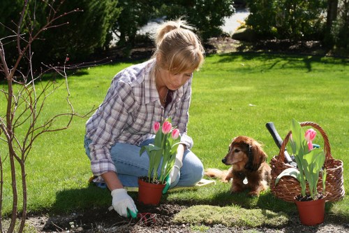 A woman with light brown hair tied back, dressed in a plaid shirt and blue jeans, is kneeling on a well-maintained grassy lawn in a residential garden, planting pink tulips in a small flower bed bordered by a narrow strip of soil. She is wearing white gardening gloves and appears focused on her task. To her right, a small brown puppy sits attentively, looking toward her. Nearby, a wicker basket holds additional pink tulips and gardening tools, including a hand trowel. The garden features a lush, green lawn with a backdrop of mature trees and shrubs, creating a serene outdoor space suitable for gardening services in East Ham. The scene is illuminated by bright natural sunlight, indicating clear weather, and the overall environment exhibits a tidy and inviting appearance, emphasizing garden maintenance and planting activities typical of professional landscaping work in the area.