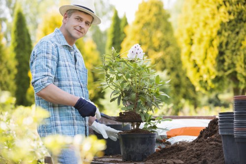 Enhanced aesthetic appeal with landscape gardening
