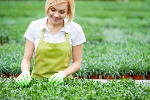 A young woman with short blonde hair, wearing a white shirt, light green gardening apron, and matching gardening gloves, is working in a nursery or garden center. She is tending to small potted plants arranged in neat rows on a raised bed or table, with a lush, well-maintained lawn and additional potted plants visible in the background. The environment appears to be outdoors, with natural light illuminating the scene, suggesting a bright, clear day. The greenery and organized plant displays highlight a professional gardening setting, relevant to landscaping services in East Ham. The image captures a moment of careful plant handling, emphasizing expertise in garden maintenance and planting, suitable for describing gardening and landscaping work by companies like Landscapers East Ham, serving the local community's outdoor space needs.