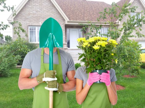 Experienced arborists performing tree services