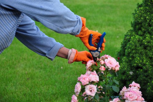 Free quote policy for East Ham rubbish company and man and van jobs