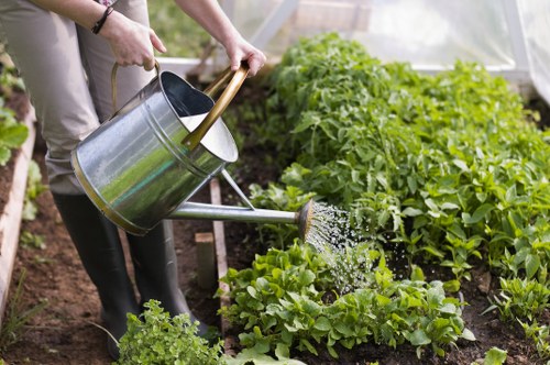 Autumn garden preparation in East Ham